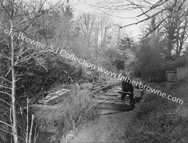 SALMON HATCHERIES GENERAL VIEW